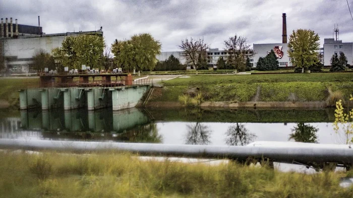 Зачем в 1986 году в пруд-охладитель Чернобыльской АЭС были выпущены сомы, что этим планировалось показать Сом, ЧАЭС, Охладитель, Рыба, Животные, Дикие животные, Чернобыль: Зона отчуждения, Яндекс Дзен, Яндекс Дзен (ссылка), Длиннопост, Пруд