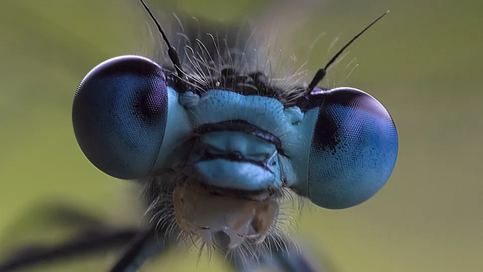 ��� ��� �������� �������� ������