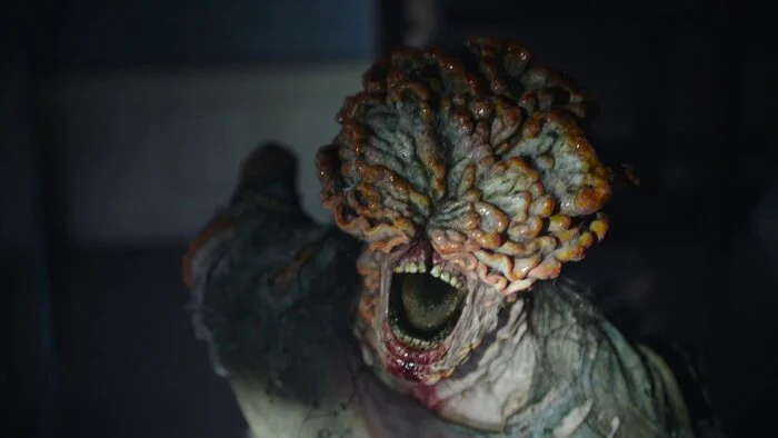 Кордицепс Кордицепс, Зомби, Эпидемия, The Last of Us, Грибы, Здоровье, Длиннопост