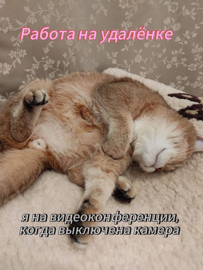    !:))) , , , ,  