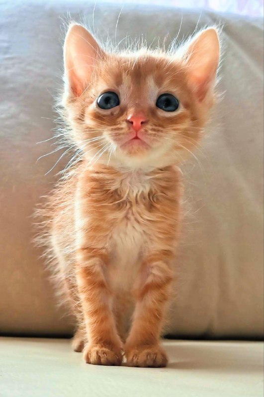    ,   , , , , , 