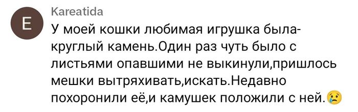 ������� ������� ����