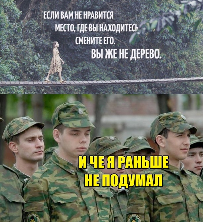    , ,  ,  ()