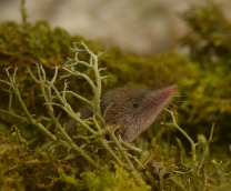 �� � �����������