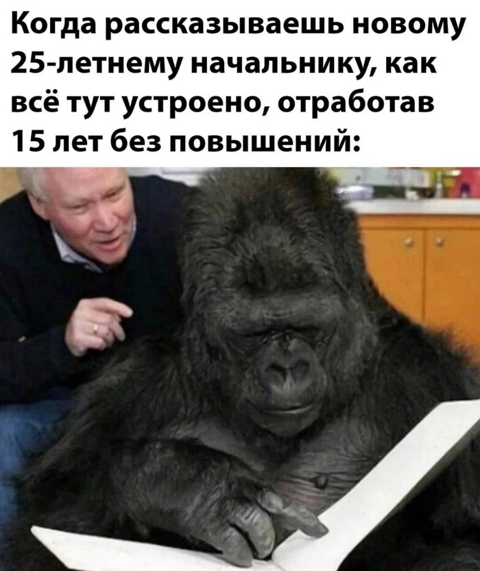     , , 