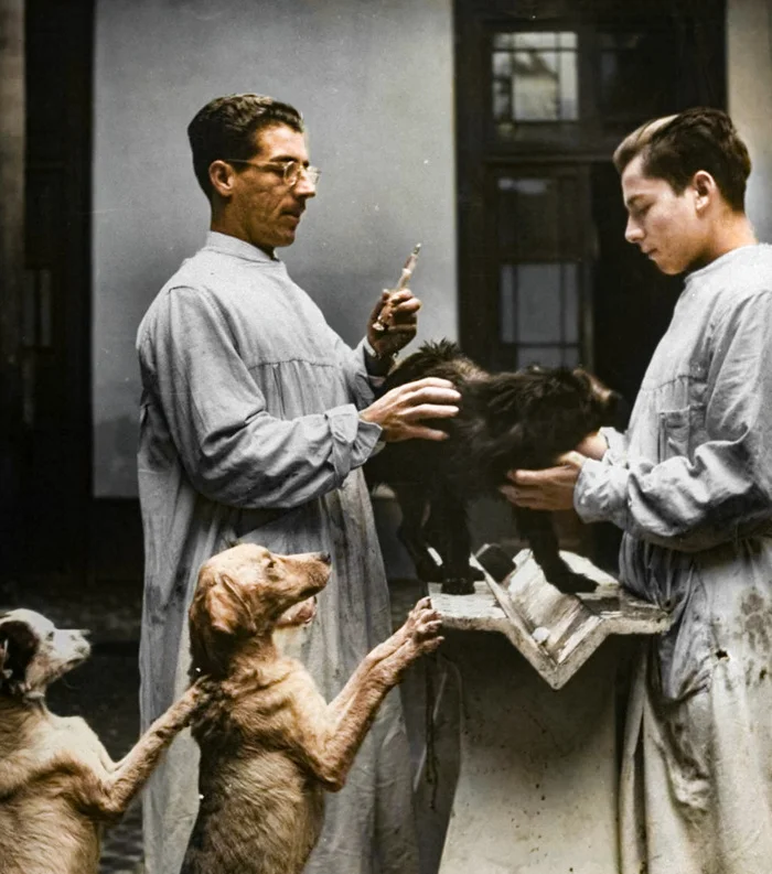 Подборка фотографий из прошлого, которые заставляют удивиться. 20 раскрашенных фотографий из XIX-ХХ века. Часть XVII 20 век, Историческое фото, Старое фото, Фотография, Колоризация, Длиннопост