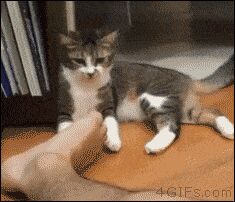   , , , 
