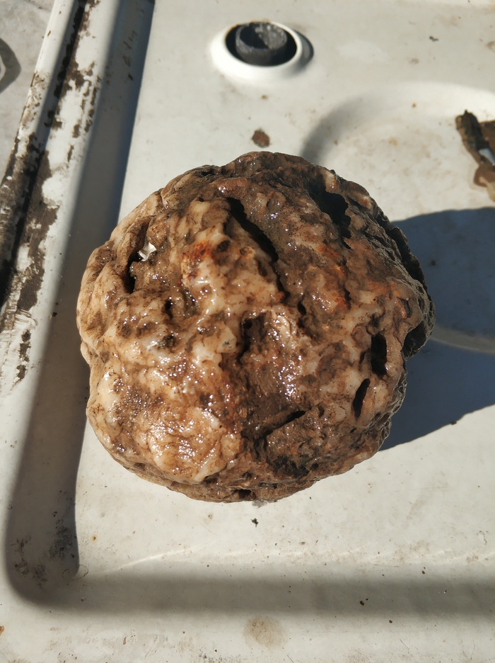 Что за камень я нашел?