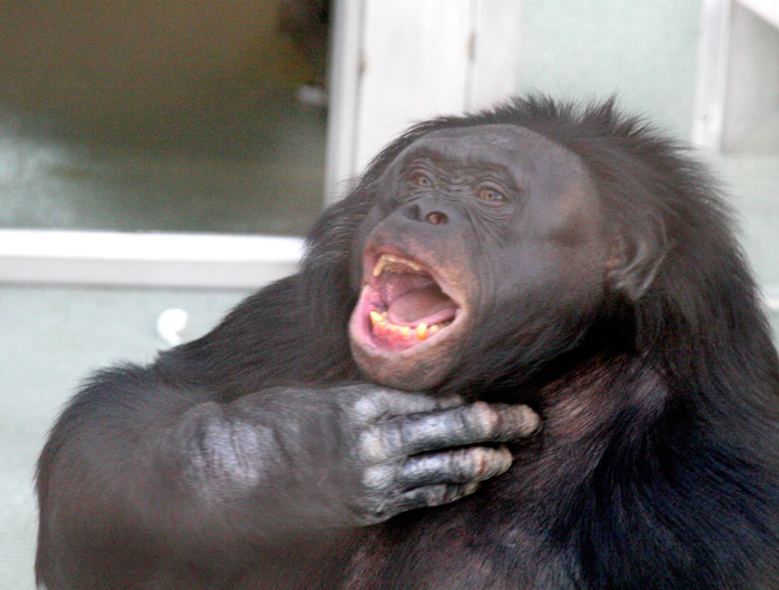     ,  ?   .       ,  , -     .