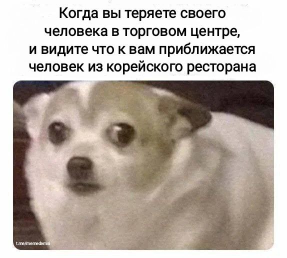     ,   , , ,  ,  , Telegram ()