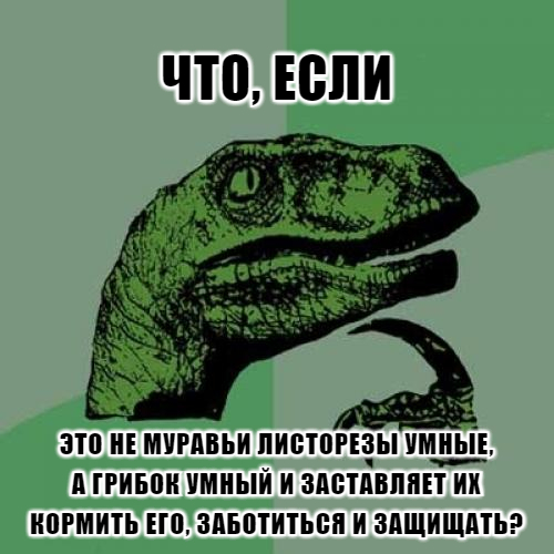 , ?