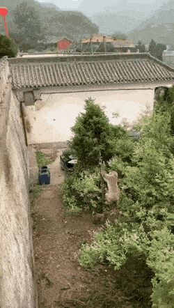     ,   , , , 