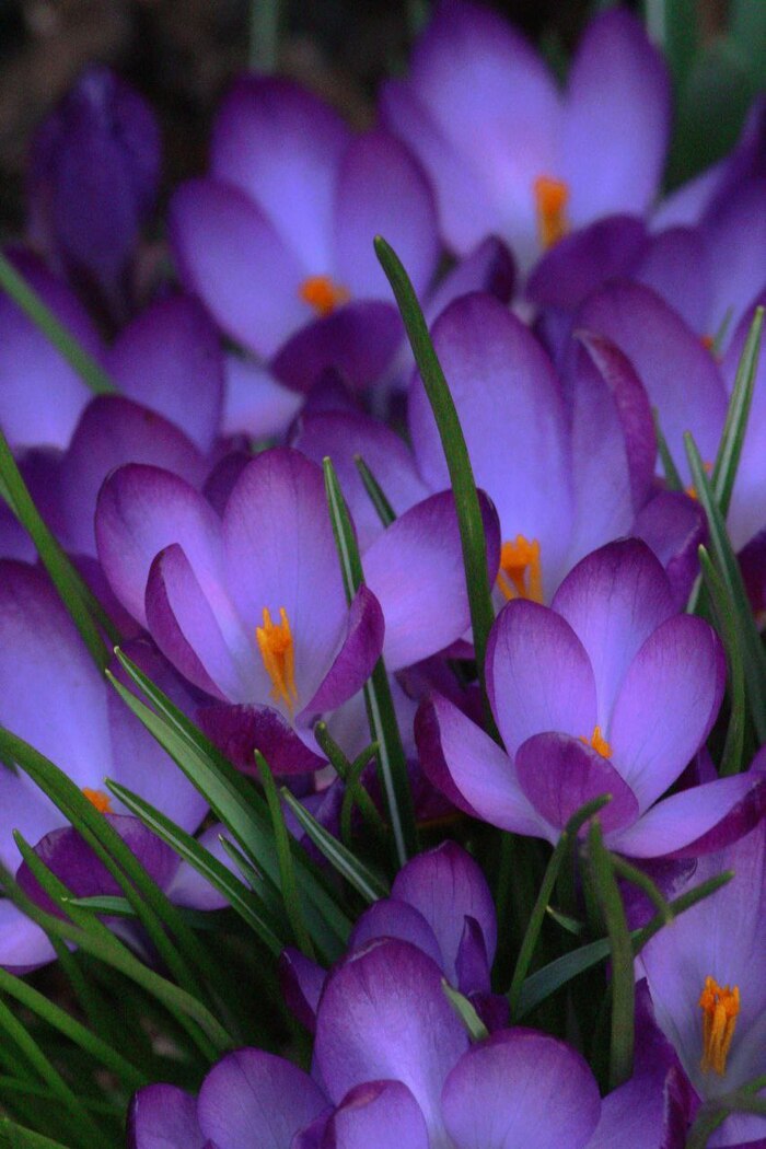 �� � ���������� ������ ���, ��?