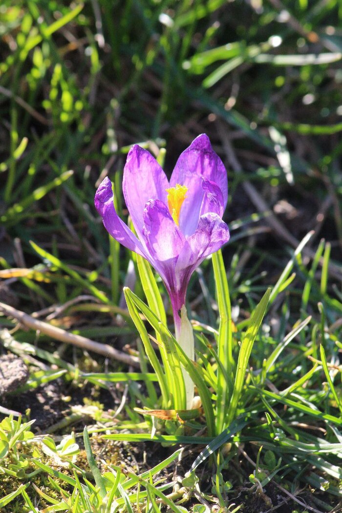 ���� �� ������ ������ � ����� ������� -- �������