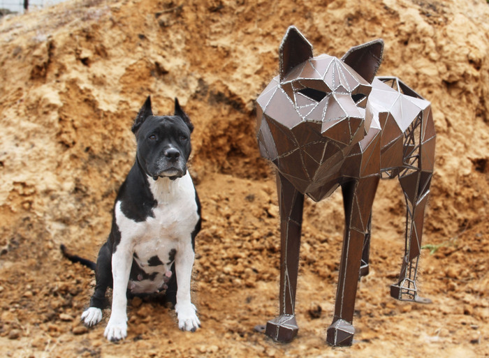 На фото страшный, злобный, неадекватный Зверь и моя собачка.