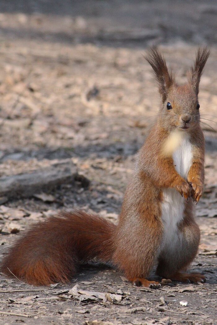 ����� �������������� -- �� ������ � ��������� ������� ����. 