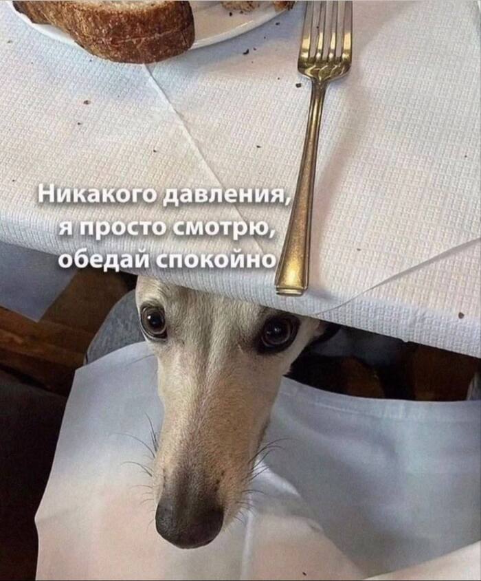 ogkgptmi.jpg