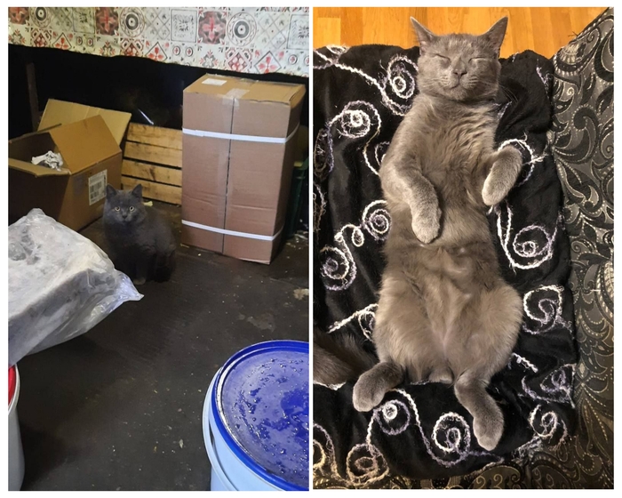     ,      ,  ,  , -,  , , ,  ,  , 