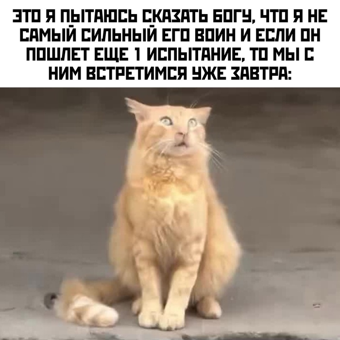 Господи хватит