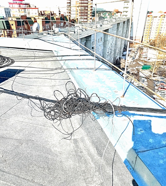 Гнездо сетевого паука