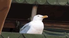 , ...  ,   , , 