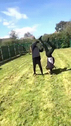   , , , 