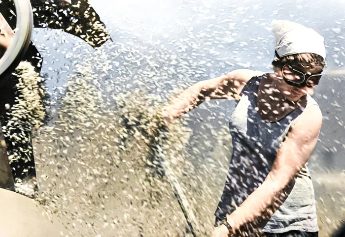 Подборка простых и потрясающих фотографий эпохи СССР. 20 раскрашенных фотографий. Часть XXI Старое фото, 20 век, СССР, Детство в СССР, 60-е, 70-е, 80-е, 50-е, Колоризация, Длиннопост