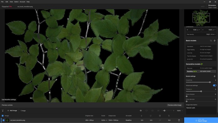  "image description"  "Natural Leafs"   Enter