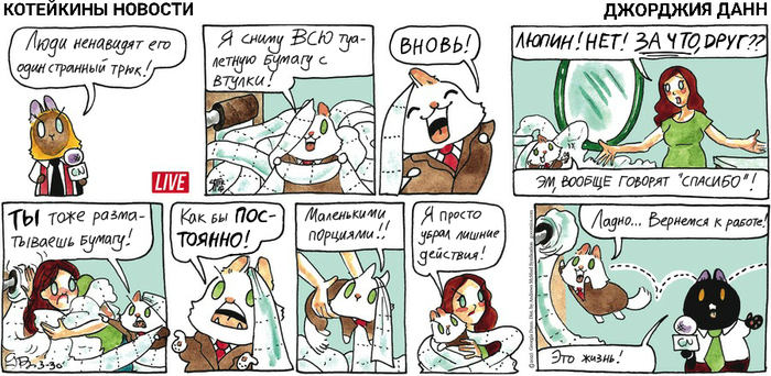 Котейкины Новости от 30.03.2025