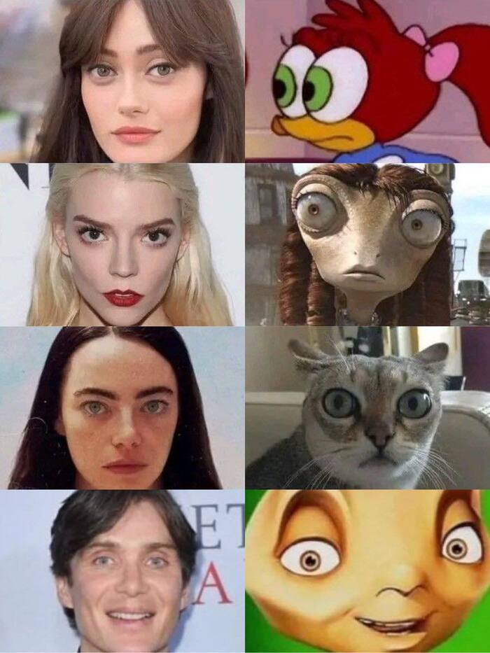  )) ,   