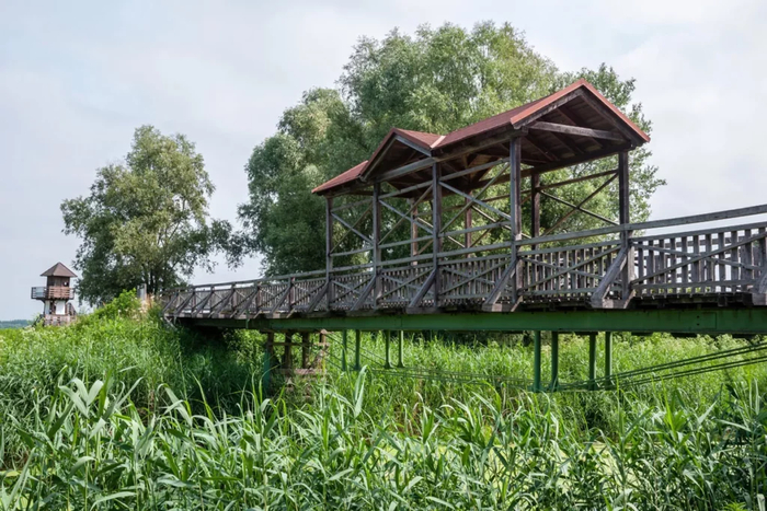 ���� �������