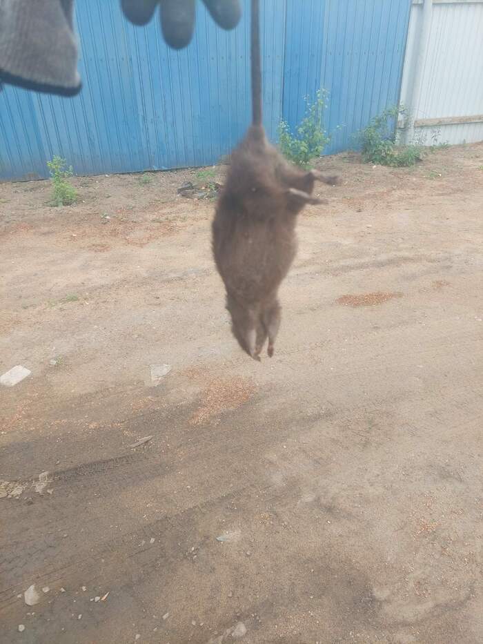    ... , ,  , ,   