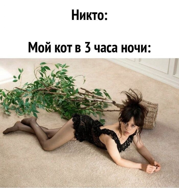    -   ?) , , , , ,  ,   