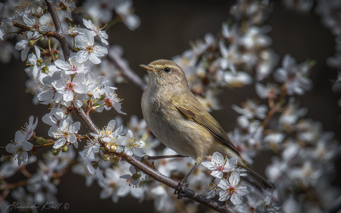 -. :   <a href="https://pikabu.ru/story/vesna_12558319?u=https%3A%2F%2Frtraveler.ru%2Fphoto%2F1474560%2F%3Feditorial_photos%3D1&t=%D0%BE%D1%82%D1%81%D1%8E%D0%B4%D0%B0&h=aa6c7dd0cdf38420acb590ee03a3402b42b764d6" title="https://rtraveler.ru/photo/1474560/?editorial_photos=1" target="_blank" rel="nofollow noopener"></a>