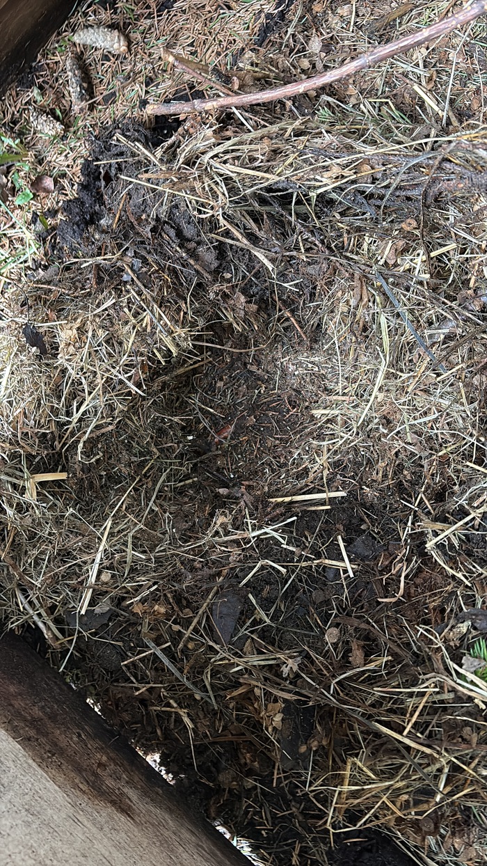 Только фото норы осталось.