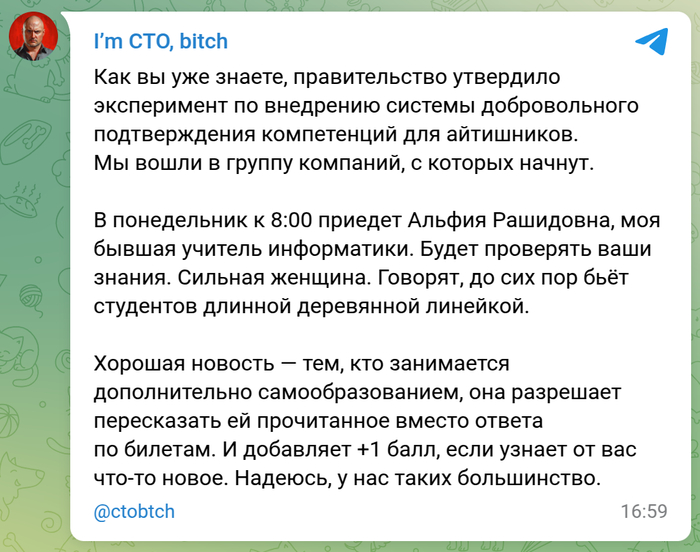    I`m CTO bitch, , IT , , 
