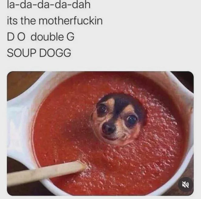   Telegram (), , ,  ,   , , ,  , ,  , , Snoop Dogg