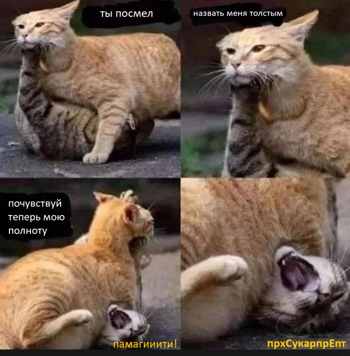 ,     , ,  , , 