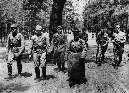  29-     . , - - :      - ,   -  ...