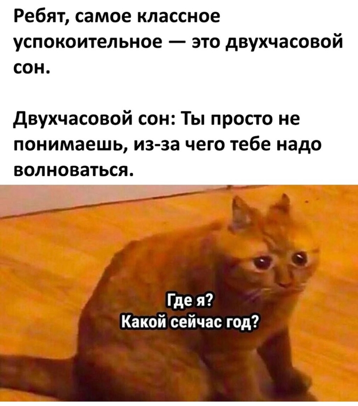 Зачем так быстро утро наступило?