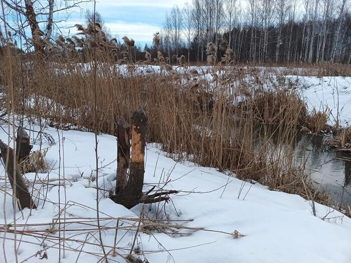 «Пышминские озерки».