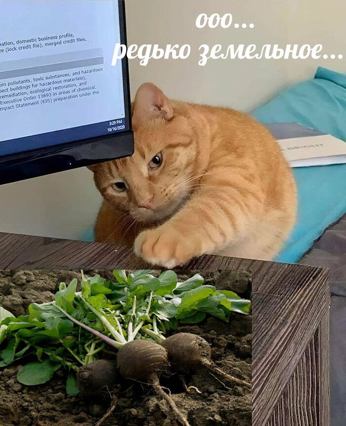   ,  ,   , , , 