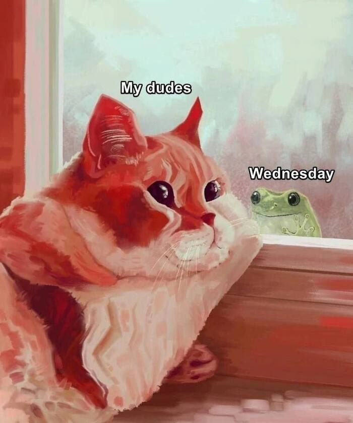   , ? , It Is Wednesday My Dudes, , ,   , 