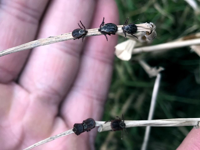     ,       ,  .         .    :        .