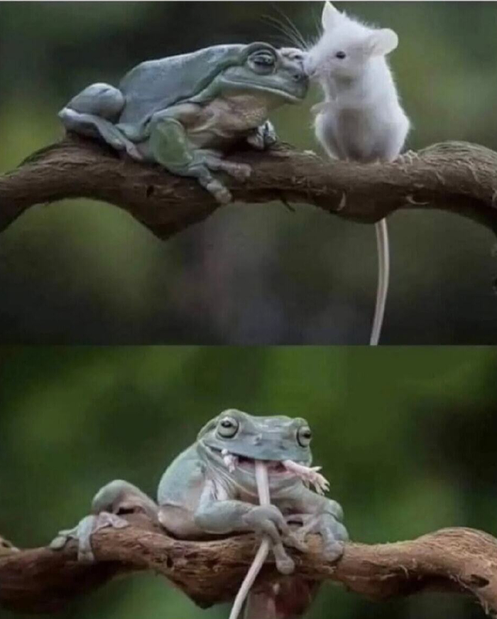 ��������� ��������� ����