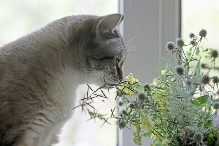 Композиция