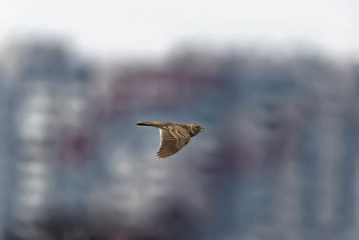 ��������������