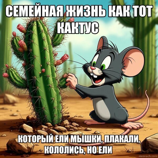    -   ? , , , ,   , , , , ,  (), , , , ,  