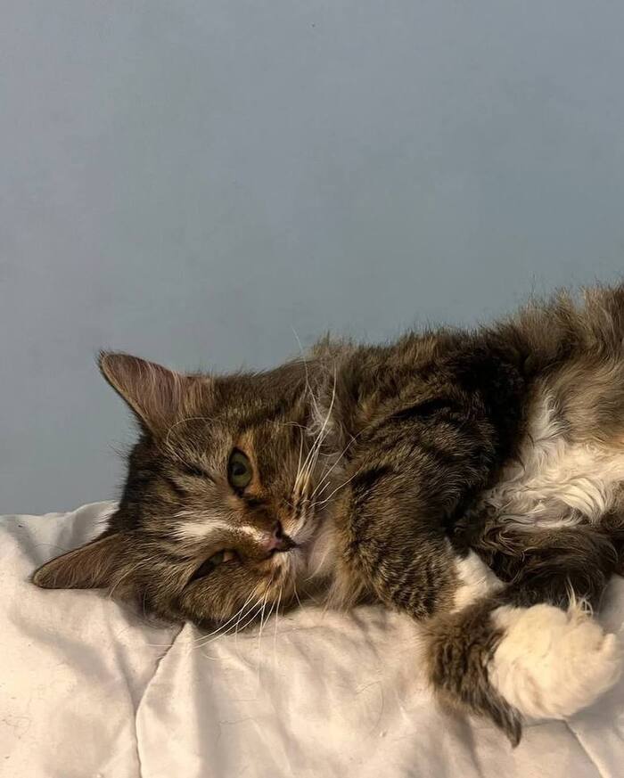 ����� ����� ��� ����� �����!