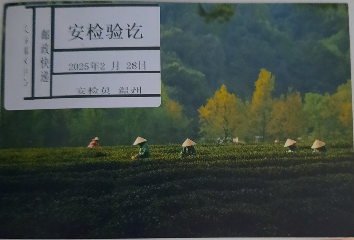 Postcrossing #21 Postcrossing, , , 